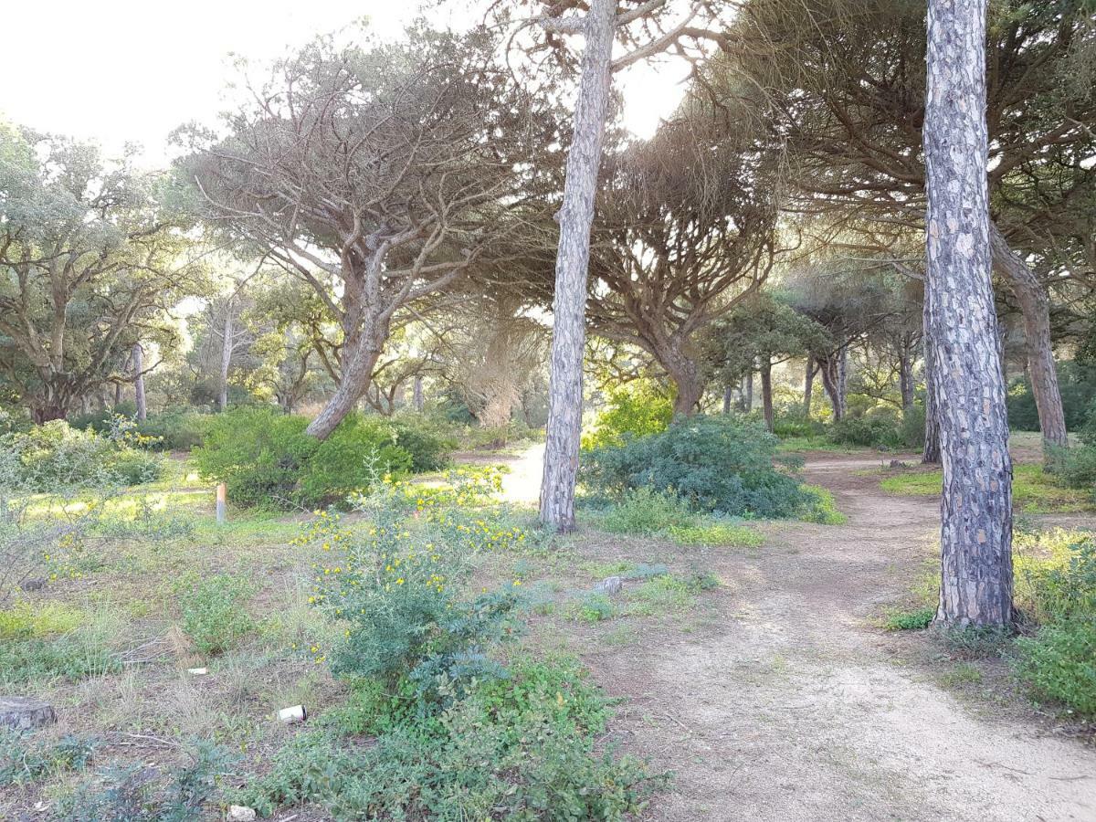 Apartamento Pinar Del Atlantico-La Barrosa Chiclana de la Frontera Exterior photo